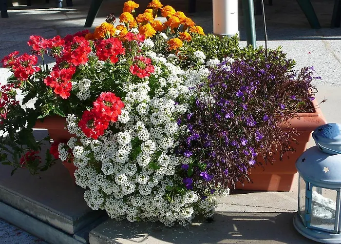 公寓 Amici-3 By Interhome *