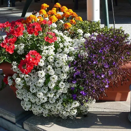 Apartmán Amici-3 By Interhome *